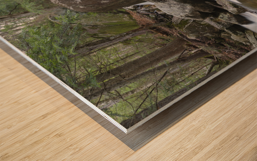 Gibbs Brook - White Mountains New Hampshire Wood print