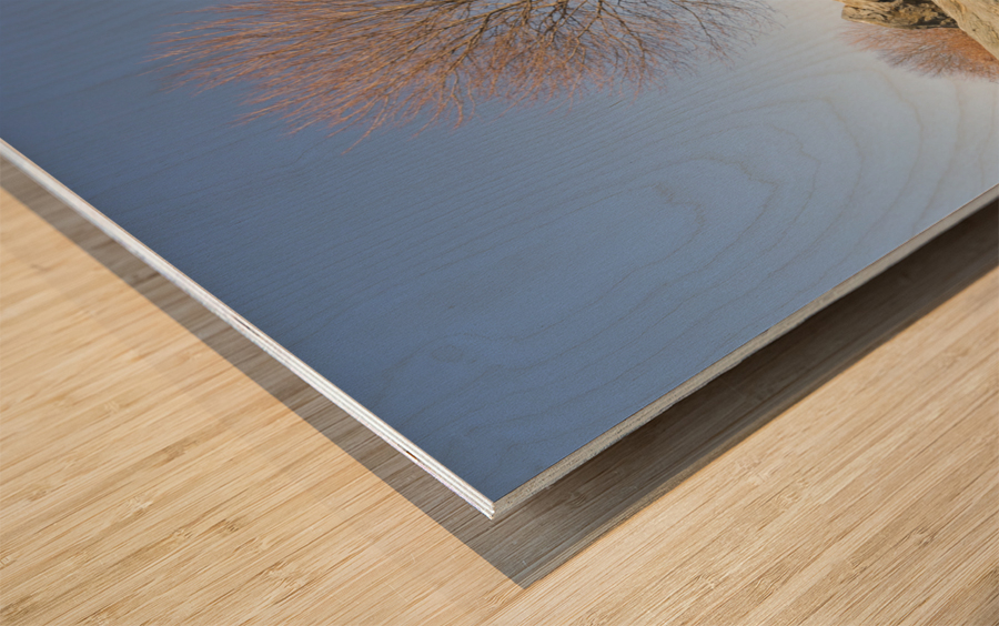 Great Island Common - New Castle New Hampshire Wood print