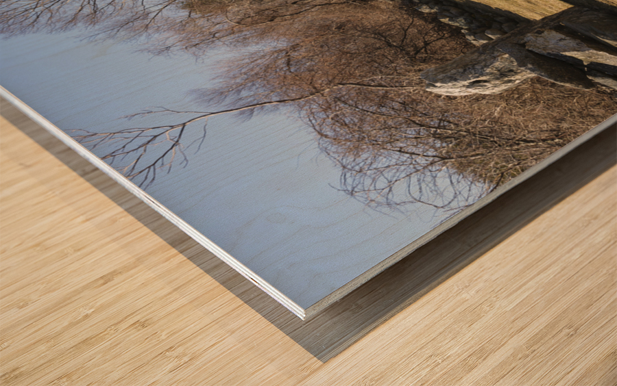 Odiorne Point State Park - Rye New Hampshire Wood print