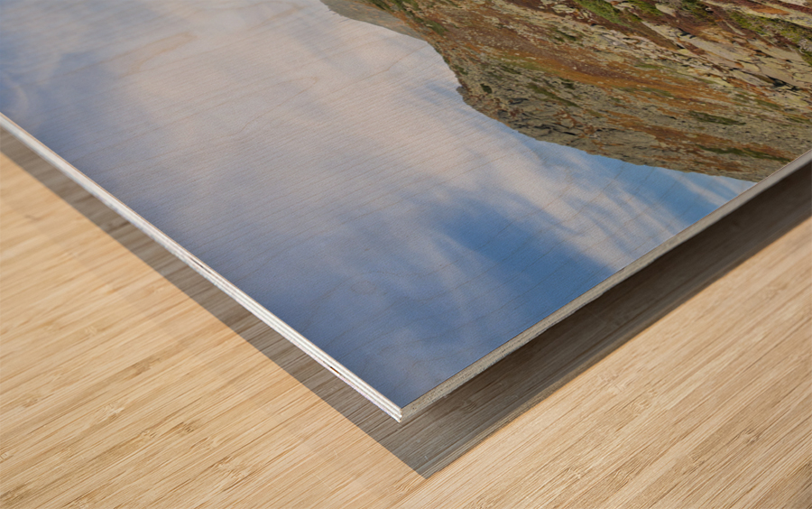 Crawford Path - Mt Monroe New Hampshire Wood print