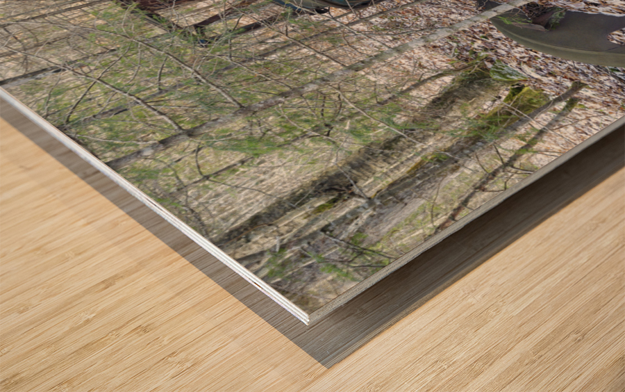 Tunnel Brook - Benton New Hampshire Impression sur bois