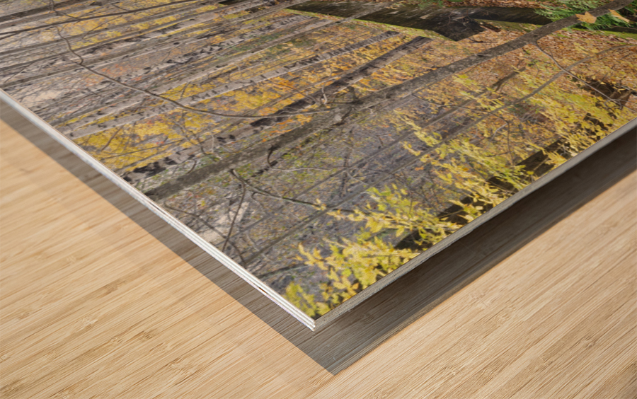 Village of Livermore New Hampshire Wood print