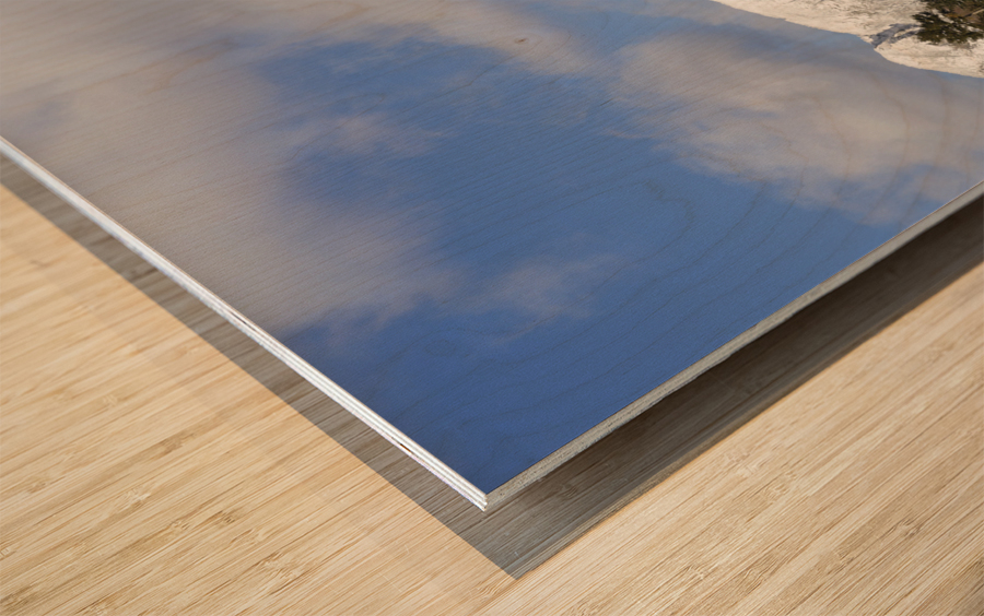 Pemi Trail - Franconia New Hampshire Wood print