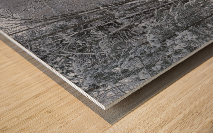 Franconia Notch - White Mountains New Hampshire Wood print