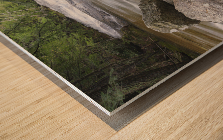 Bartlett Experimental Forest - Bartlett New Hampshire Impression sur bois