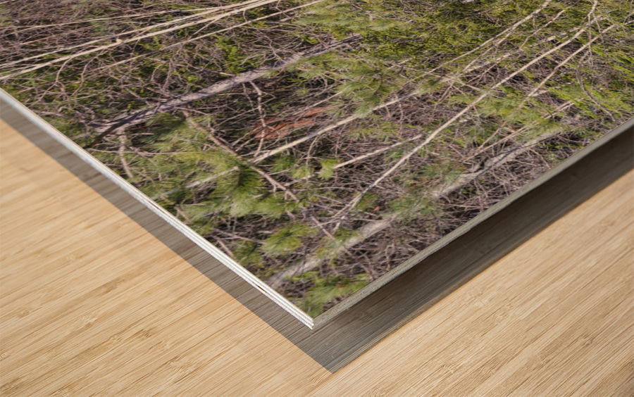 Kancamagus Highway - White Mountains New Hampshire Impression sur bois