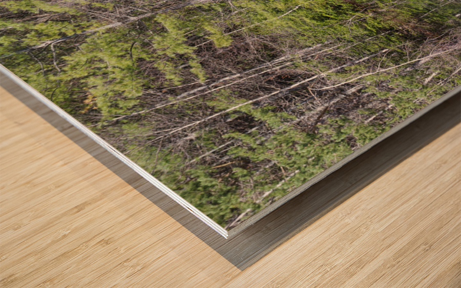 Kancamagus Highway - White Mountains New Hampshire Wood print