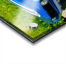 69 Yenko Camaro Impression Acrylique
