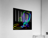 Rainbow Bird in Flight Acrylic Print