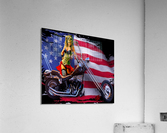 American chopper Chick Acrylic Print