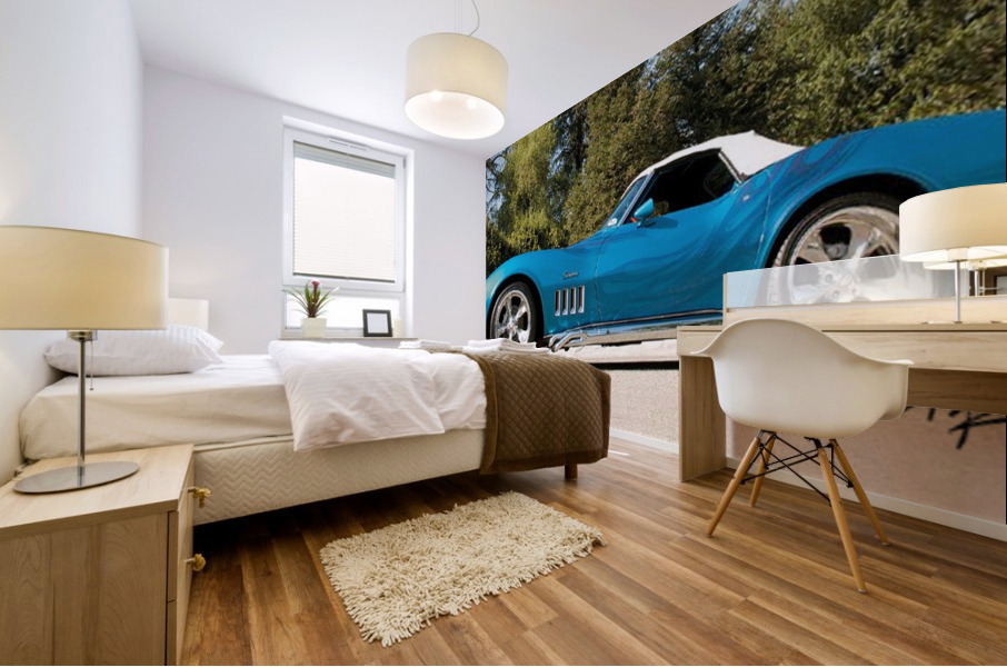 69 Vette Roadster Mural print