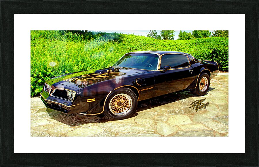 78 Bandit Trams Am Picture Frame print