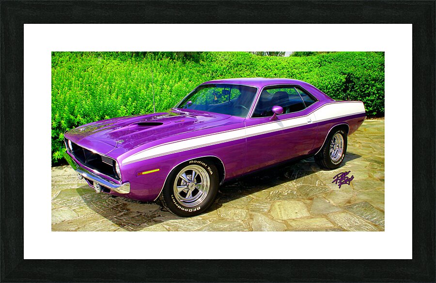 70 Purple Cuda Picture Frame print