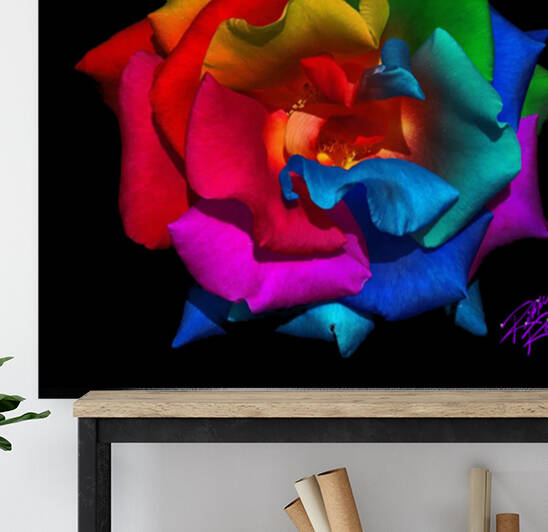 The Beautiful Colored Rose by Rikki Rocx Designs