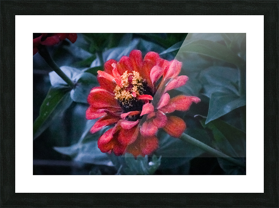 YUA 9023 Picture Frame print