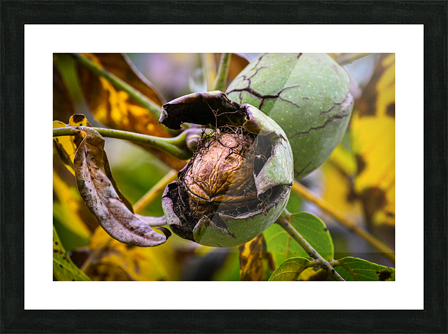YUA 8938 Picture Frame print