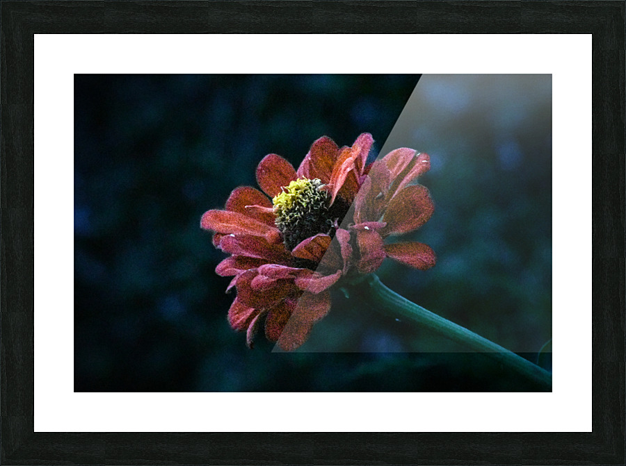 YUA 9024 Picture Frame print