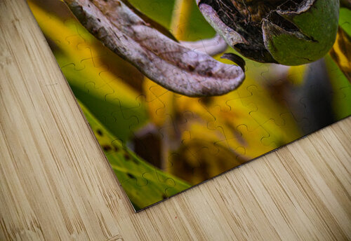 YUA 8938 Yuri Bohatyrov puzzle