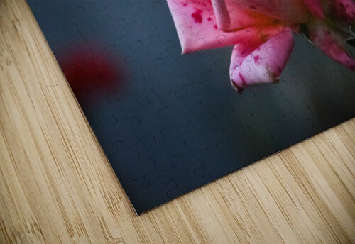 YUA 9013 Yuri Bohatyrov puzzle
