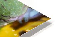 YUA 8938 HD Metal print