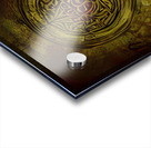 Sealed Acrylic print