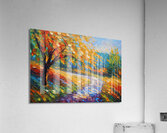 Road Less Traveled Acrylic Print