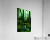 Mysterious Bog Acrylic Print