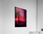 California Acrylic Print