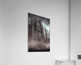 Gothic Cathedral Acrylic Print