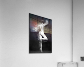 Swan Lake Acrylic Print