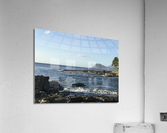 Island Life 1 Acrylic Print