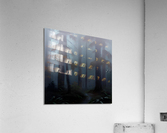 Misty Forest Panel 2 Acrylic Print