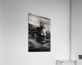 The Lure Acrylic Print