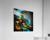 Deeper Places Acrylic Print
