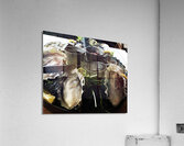 Stock Oysters 1 Acrylic Print