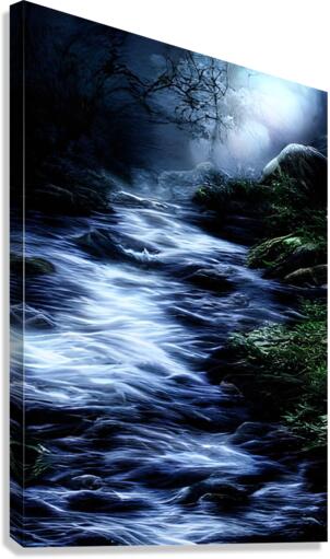 Pure Creek Canvas Print