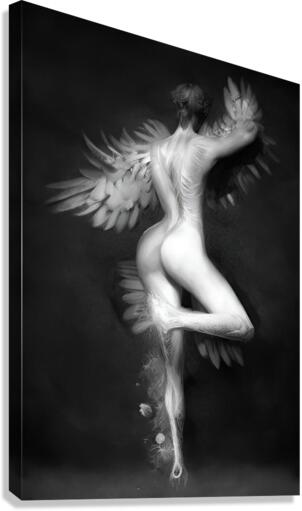 Swan Lake Canvas Print