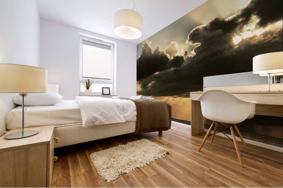 Ocean Sunset 8 Mural print