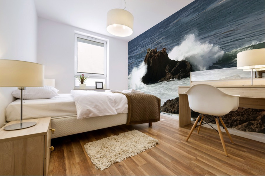 Wave Break 1 Mural print