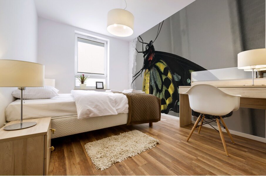 Stock Butterfly 2 Mural print