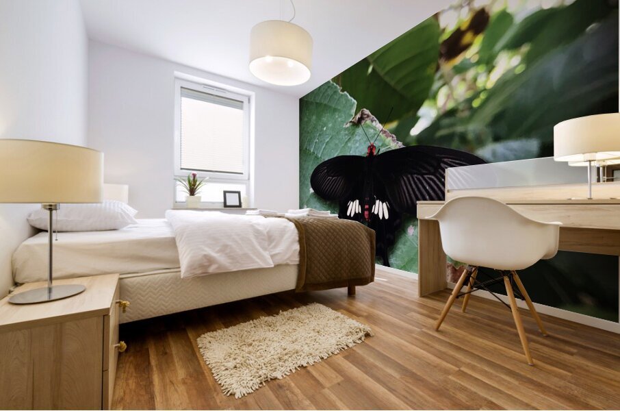 Stock Butterfly Mural print