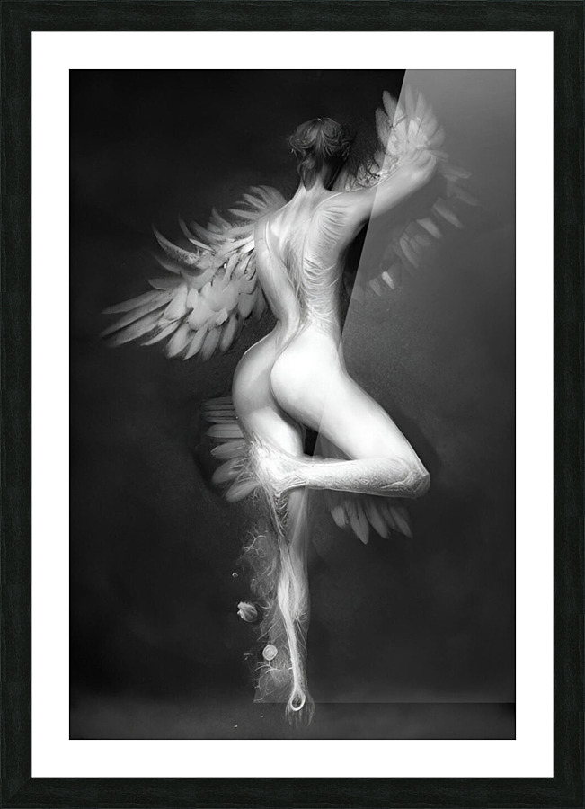 Swan Lake Picture Frame print