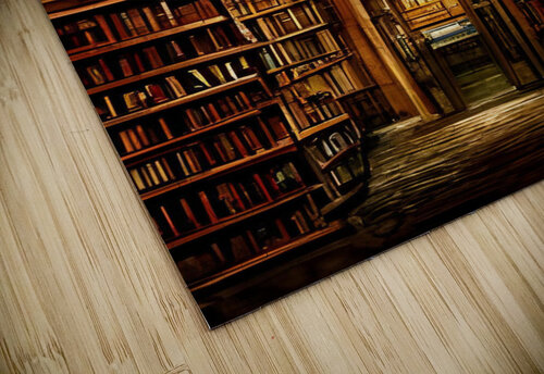 The Library Constantine Giovanni puzzle
