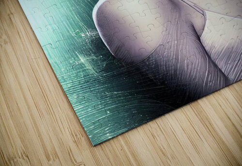 Frosted Mirror Constantine Giovanni puzzle