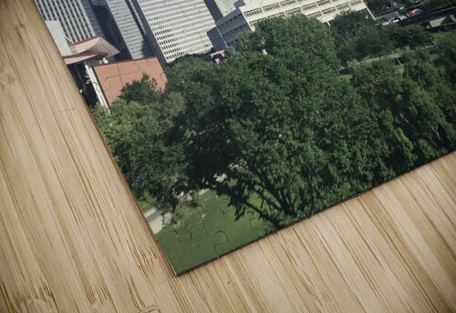 Downtown Houston Constantine Giovanni puzzle