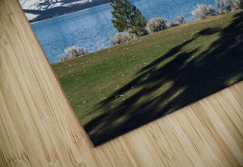 Chilled Lakeside Constantine Giovanni puzzle
