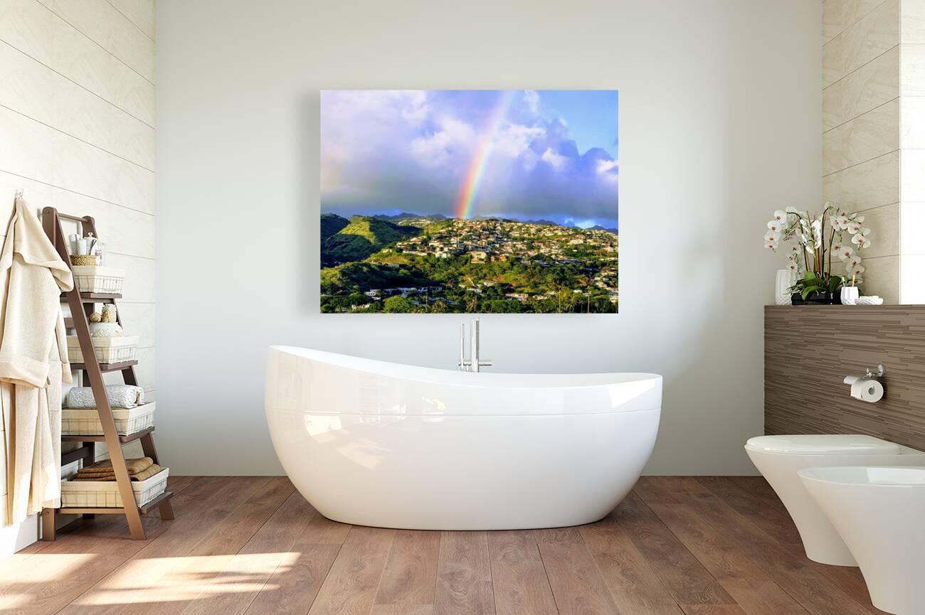 Stock Rainbow 1 Reproduction
