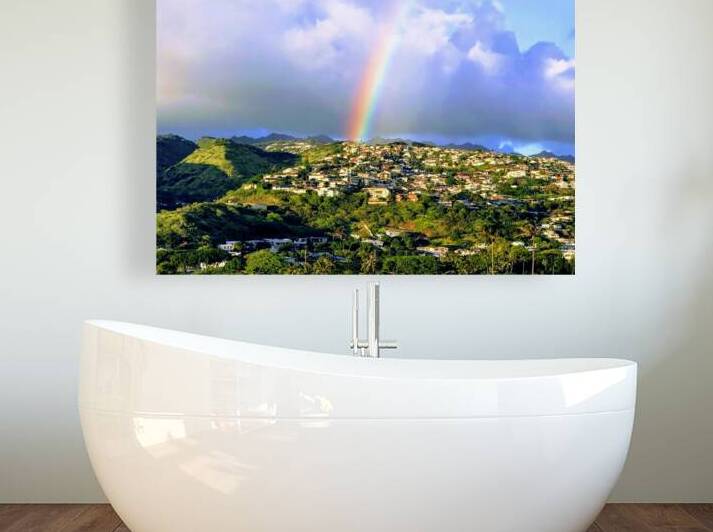 Stock Rainbow 1 Reproduction