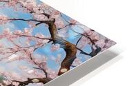 Blooming Lakeside HD Metal print