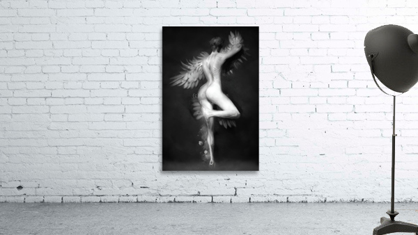Swan Lake Wall Preview